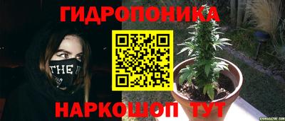 мдма Ярославль