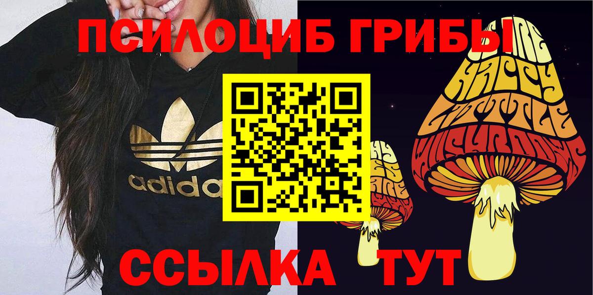 Псилоцибиновые грибы Magic Shrooms  Вход с VPN  Балашиха 